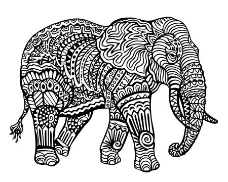Ethnic Animal Doodle Detail Pattern - Elephant Zentangle  Illustration