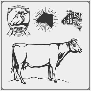 Vector meat labels and illustration of cow. Templates for design meat logos.