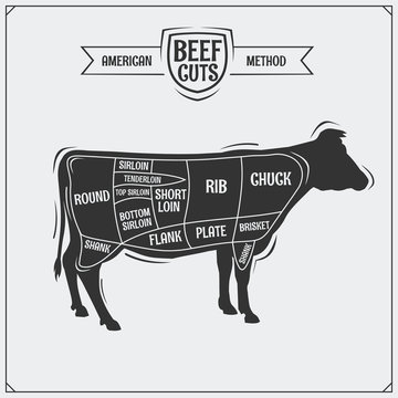 American cuts of beef. Vector illustration.