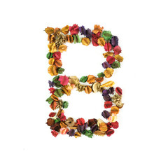 B, Dried flower alphabet isolated on white