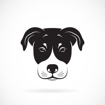 Vector image of an dog head on white background
