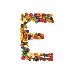E, Dried flower alphabet isolated on white background