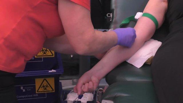 Nurse is preparing for drawing blood from a woman donor lying on couch.After inserting a needle blood starts to flow into the bag