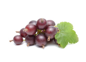 Black currants isolated on white