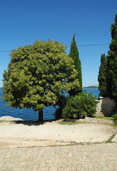 Küste bei Rovinj, Kroatien