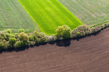 aerial view of the springtime harvest field