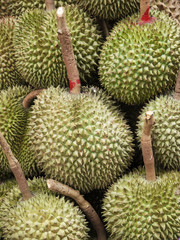 Group of durian in the market