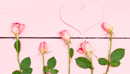 Bright roses on pink wood background with space for text