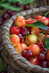 Sweet Cherries in wicker basket 