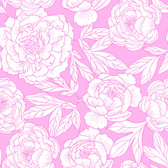 Peony flowers on a pink background.Vector seamless pattern