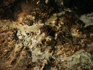 Carcinogenic crude oil pollution produced by illegal oil mining contaminates soil and water at an illegal oil-field in East Java, Indonesia.