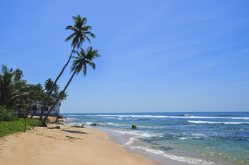 Obraz na płótnie Canvas Untouched tropical beach in Sri Lanka