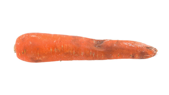 Rotten carrot isolated on white background