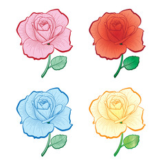 Set of color hand drawing roses