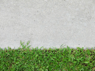 Fototapeta premium Grass with walkway background