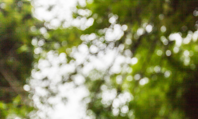 Bokeh and blurs out len background