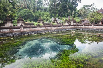 Fototapeta na wymiar Holiday in Bali, Indonesia - Tirta Empul Holy Water