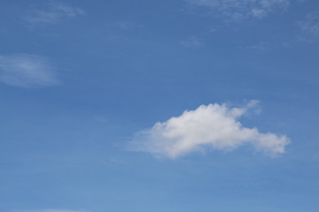 Cloudy skies during the day