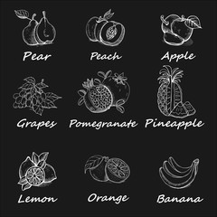 Collection, a set of chalk hand drawn fruits on the blackboard.
