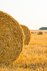 Harvested field with straw bales