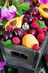 Fresh ripe summer berries and fruits