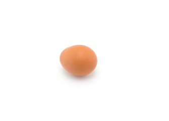 Single brown chicken egg on white