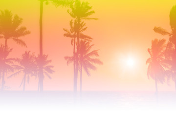 Fototapeta na wymiar palm trees silhouette on sunset tropical beach