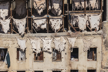 Workers at the Chouwara tannery in Fez, Morocco.