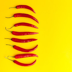 Red chili pepers on yellow. Top view - 114906721