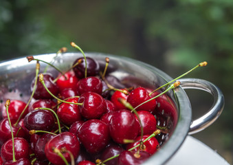 sweet fresh cherries with water trops in the coleander