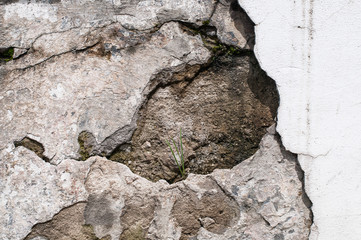 The texture of old plaster on the brick wall