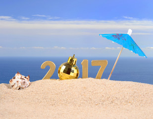 Fototapeta na wymiar 2017 year golden figures with seashell