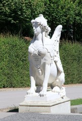 Obraz premium Spynx in Wien