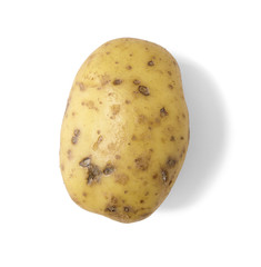 A single uncooked baking potato isolated on a white background