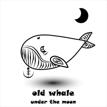 old whale under the moon
old whale under the moon pattern on a white background with anchor
