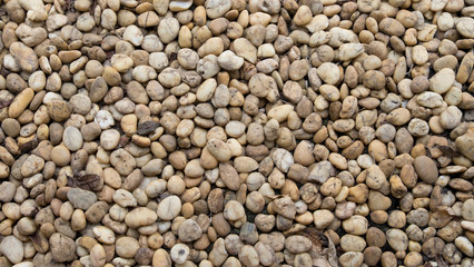 Rock background texture