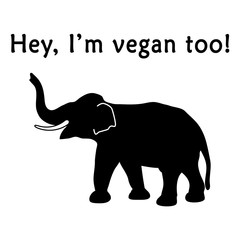 Hey, I'm vegan too