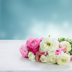 Pink and white ranunculus flowers
