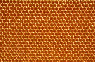 fresh honey in cells