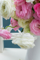 Pink and white ranunculus flowers