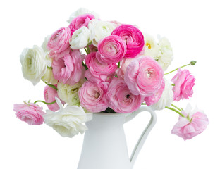 Pink and white ranunculus flowers