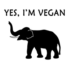 Yes, I'm vegan
