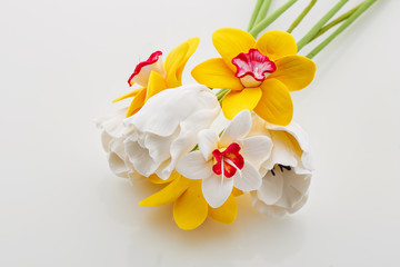 Beautiful spring flowers