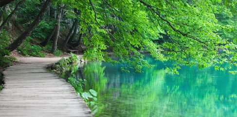 Wall murals Nature Lake coast in national Croatian nature park Plitvice Lakes with tree branches, bench and wooden walkway 