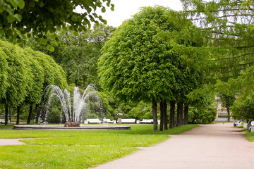 Smolny Cathedral Park 2