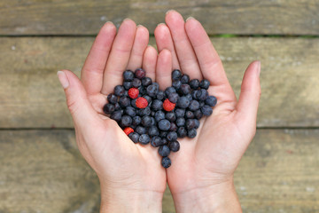 favorite wild berry/ heart symbol of of freshly berries blueberries in the hands of man, top view 