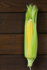 cob fresh raw natural organic corn © Olga Kriger