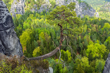 The Elbe Sandstone Mountains in Germany, Europe