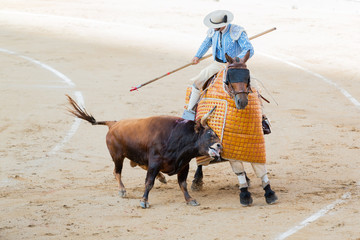 Spanish corrida