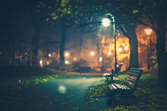 Park At Night Images – Browse 518,722 Stock Photos, Vectors, and Video |  Adobe Stock